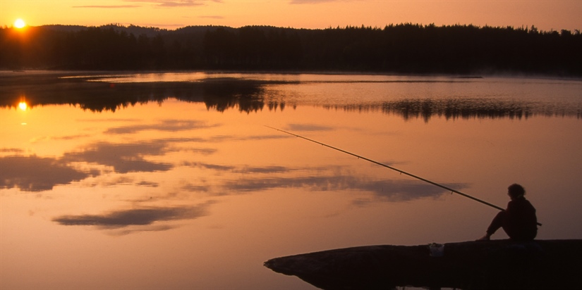 Friluftslivets år er i gang!